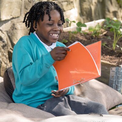 Reading